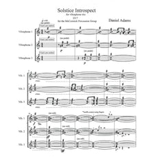 soltice-introspect-daniel-adams