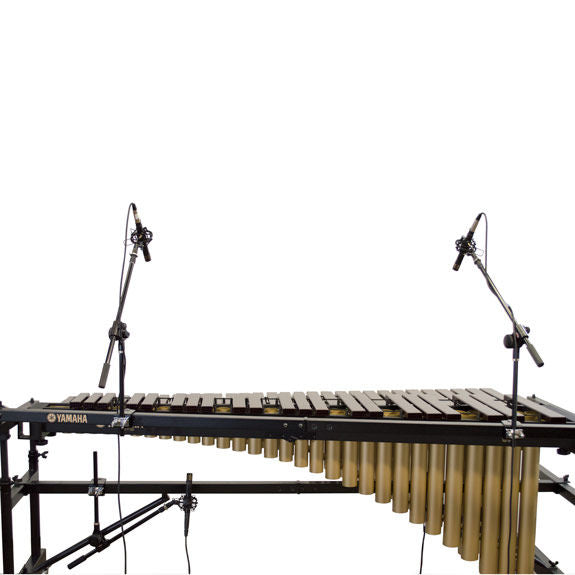 Steve Weiss Field Frame Mic Mount System - Marimba 2 Pack