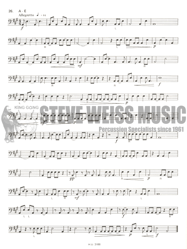 Stoffels-Studies for Kettledrums