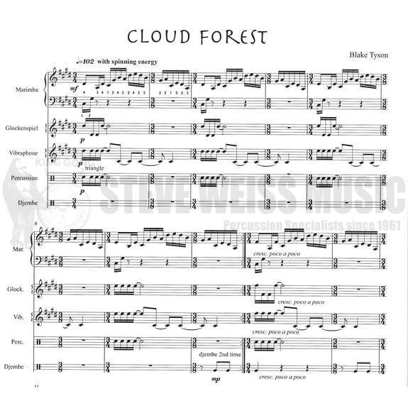 Tyson-Cloud Forest (SP)-Solo M/B/V/P