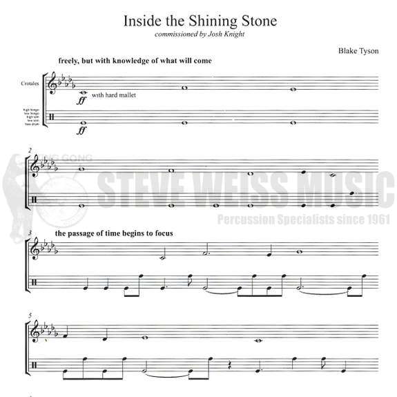 Tyson-Inside the Shining Stone-Cro./P